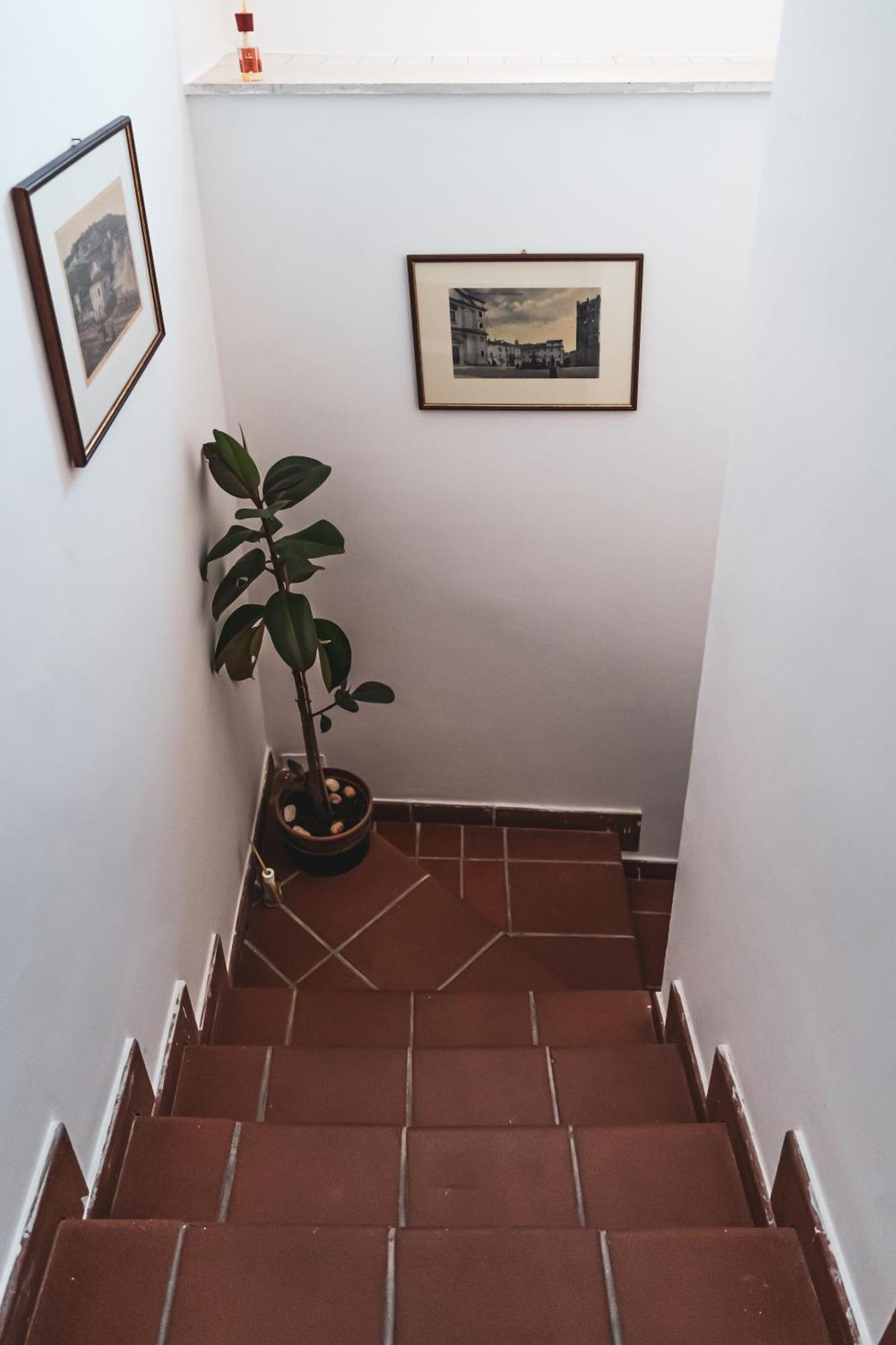 Casina Carina - Intero Appartamento Indipendente Alatri ภายนอก รูปภาพ