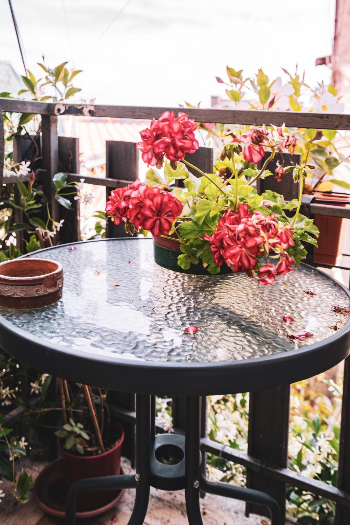 Casina Carina - Intero Appartamento Indipendente Alatri ภายนอก รูปภาพ
