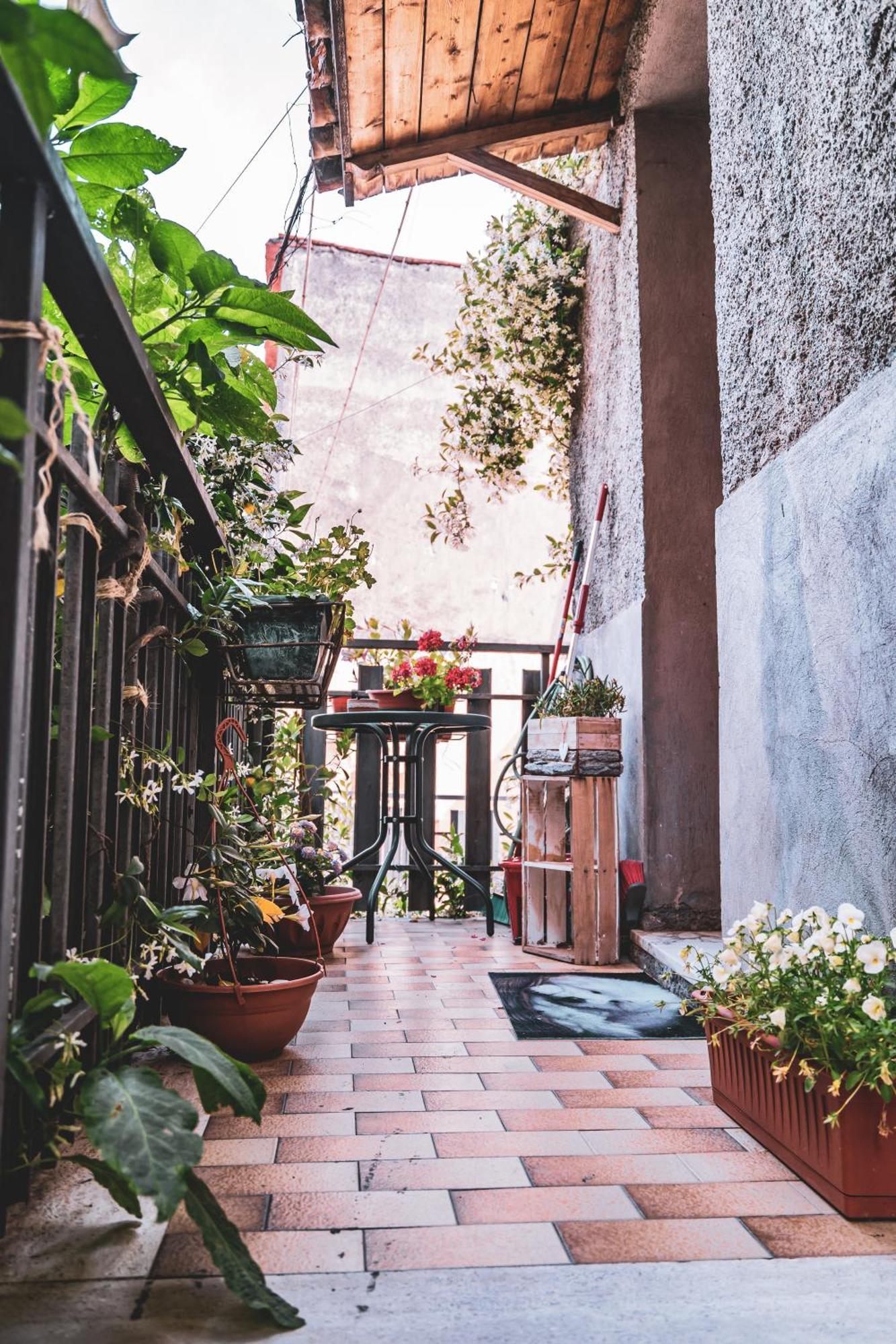 Casina Carina - Intero Appartamento Indipendente Alatri ภายนอก รูปภาพ